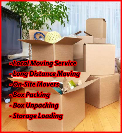 Packers And Movers Noida Sector 51